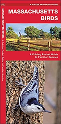 indir Massachusetts Birds: A Folding Pocket Guide to Familiar Species (Pocket Naturalist Guide Series)