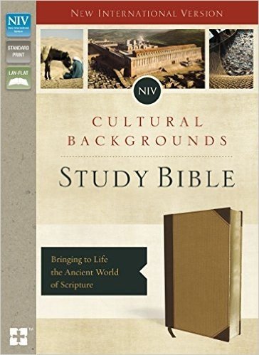 NIV, Cultural Backgrounds Study Bible, Imitation Leather: Bringing to Life the Ancient World of Scripture baixar
