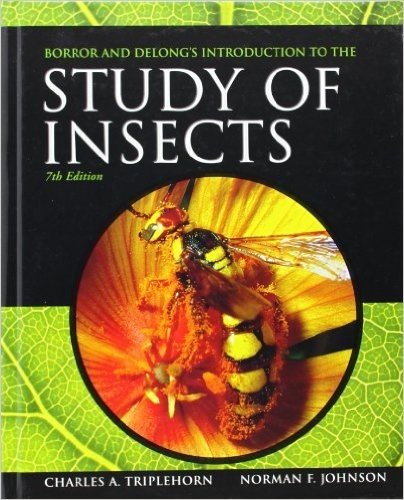Borror And Delongs Introduction To The Study Of Insects