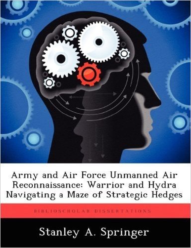 Army and Air Force Unmanned Air Reconnaissance: Warrior and Hydra Navigating a Maze of Strategic Hedges