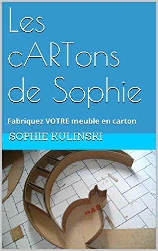 Les cARTons de Sophie: Fabriquez VOTRE meuble en carton (Les bases du cartonnage) (French Edition) baixar