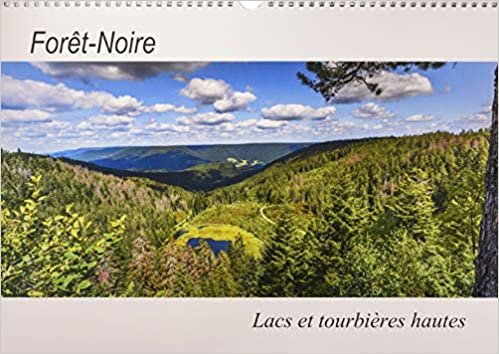 Forêt-Noire, lacs et tourbières hautes (Calendrier mural 2020 DIN A3 horizontal): Nature intacte sur les lacs et les tourbières de la Forêt-Noire (Calendrier mensuel, 14 Pages ) (CALVENDO Places)