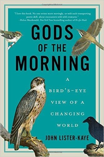 Gods of the Morning: A Bird's-Eye View of a Changing World baixar