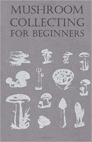 Mushroom Collecting for Beginners