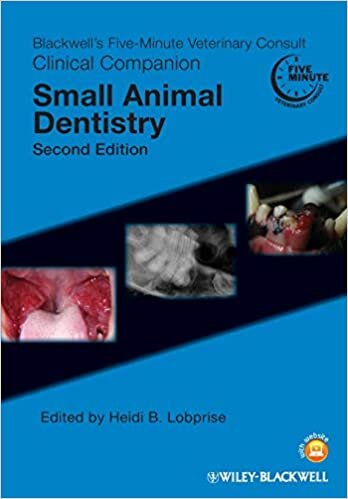 indir Blackwell&#39;s Five-Minute Veterinary Consult Clinical Companion: Small Animal Dentistry