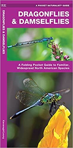 Dragonflies & Damselflies: A Folding Pocket Guide to Familiar Widespread, North American Species (Pocket Naturalist Guide Series)