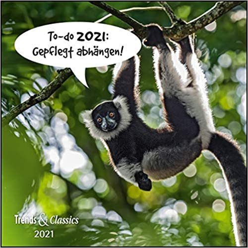 indir To-do 2021: Gepflegt abhängen! - Lustige Tiere als Broschürenkalender - Wandkalender - mit herausnehmbarem Poster - Format 30 x 30 cm