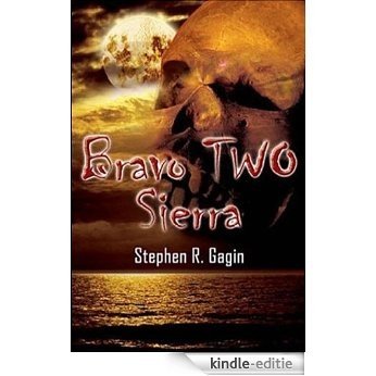 Bravo TWO Sierra (English Edition) [Kindle-editie] beoordelingen