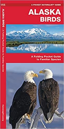indir Alaska Birds: A Folding Pocket Guide to Familiar Species (Pocket Naturalist Guide Series)