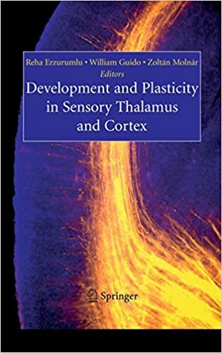 indir Development and Plasticity in Sensory Thalamus and Cortex