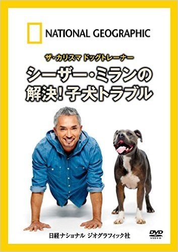 DVD ザ・カリスマ ドッグトレーナー
シーザー・ミランの
解決! 子犬トラブル