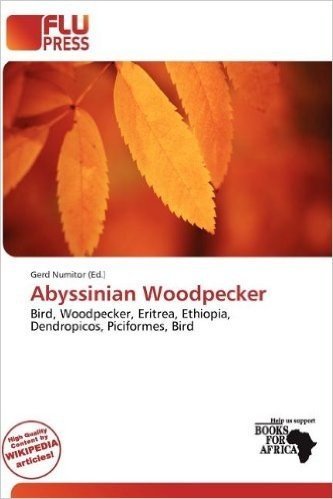 Abyssinian Woodpecker baixar
