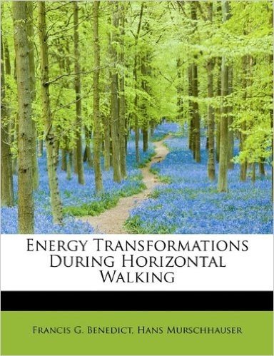 Energy Transformations During Horizontal Walking