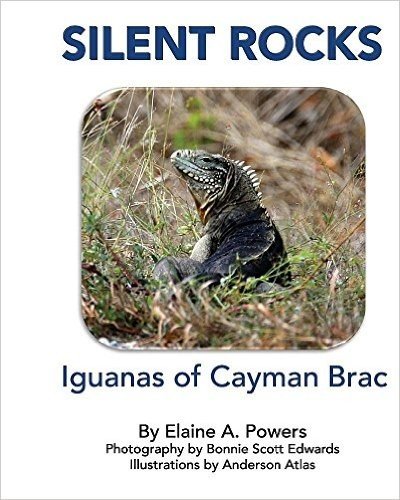 Silent Rocks: Iguanas of Cayman Brac