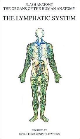 Flash Anatomy Organs of the Human Anatomy: The Lymphatic System