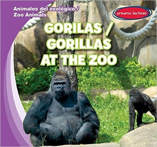 Gorilas / Gorillas at the Zoo