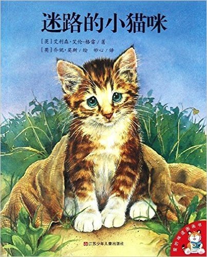 爱的味道图画书:迷路的小猫咪