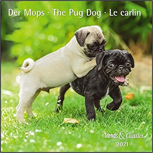 indir Der Mops The Pug Dog 2021 - Broschürenkalender - Wandkalender - mit herausnehmbarem Poster - Format 30 x 30 cm