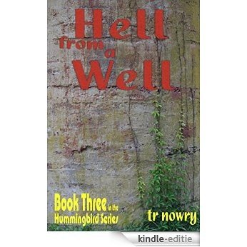 Hell from a Well (Hummingbird series Book 3) (English Edition) [Kindle-editie]