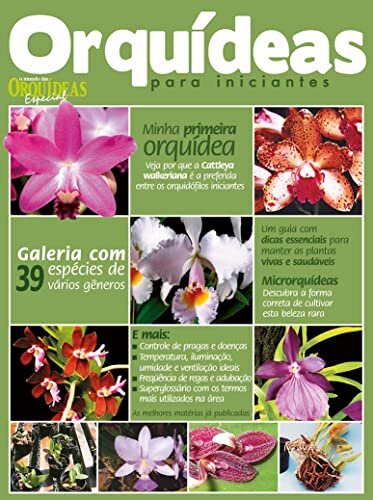 O Mundo das Orquídeas Especial Edição 01: Minha primeira orquídea.