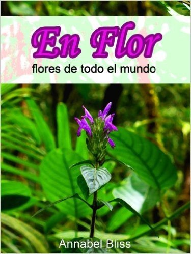 En flor, flores de todo el mundo (Spanish Edition)