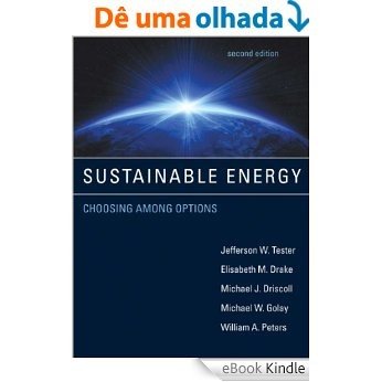 Sustainable Energy: Choosing Among Options (English Edition) [Réplica Impressa] [eBook Kindle]