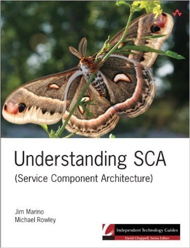 Understanding SCA (Service Component Architecture) (Independent Technology Guides)