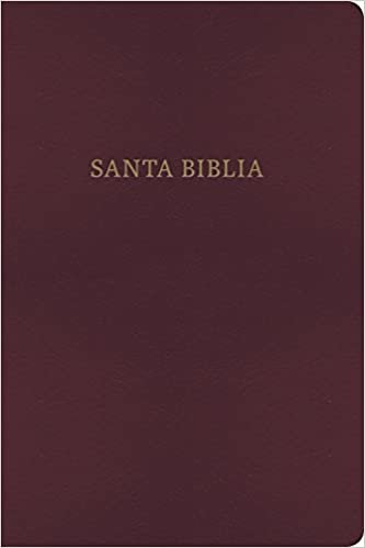 RVR 1960/KJV Biblia Bilingue, borgona imitacion piel