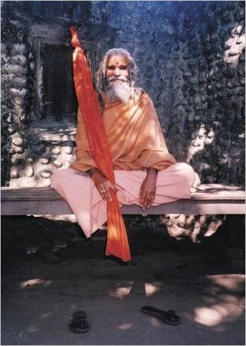 Dandi Swami: The Story of the Guru's Will, Maharishi Mahesh Yogi, the Shankaracharyas of Jyotir Math, & Meetings with Dandi Swami N