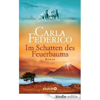Im Schatten des Feuerbaums: Roman (Chile) [Kindle-editie]