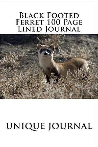 Black Footed Ferret 100 Page Lined Journal: Blank 100 Page Lined Journal for Your Thoughts, Ideas, and Inspiration