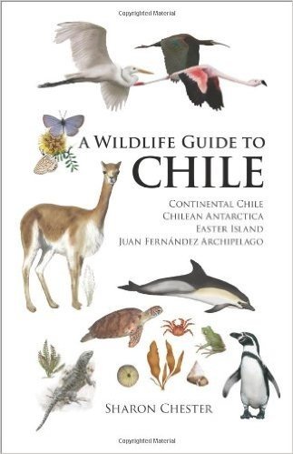 A Wildlife Guide to Chile: Continental Chile, Chilean Antarctica, Easter Island, Juan Fernandez Archipelago