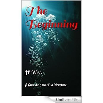 The Beginning: A Guarding The Vila Novelette (English Edition) [Kindle-editie]