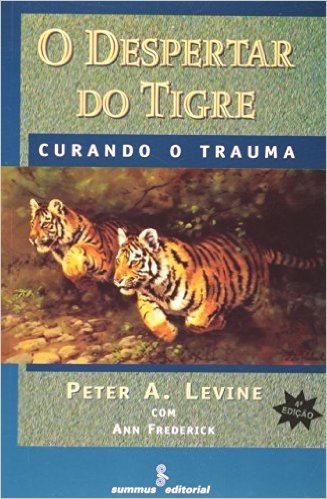 O Despertar do Tigre