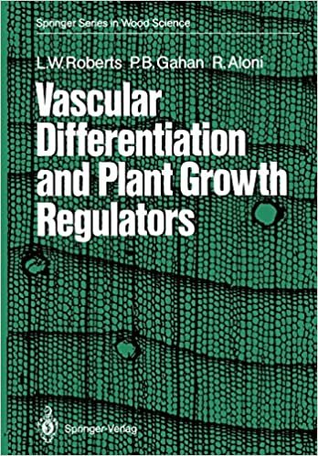 Vascular Differentiation and Plant Growth Regulators (Springer Series in Wood Science)