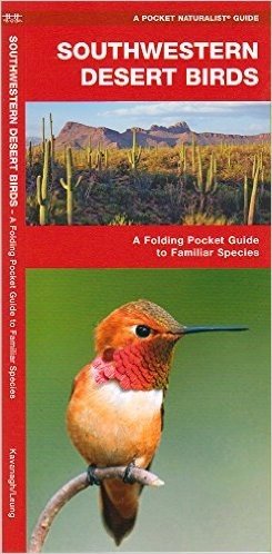 Southwestern Desert Birds: A Folding Pocket Guide to Familiar Species