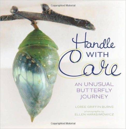 Handle with Care: An Unusual Butterfly Journey
