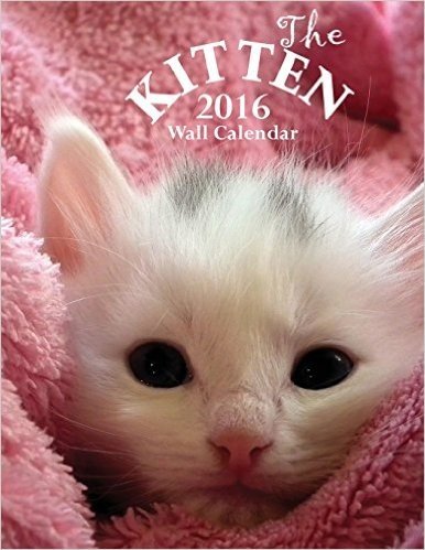 The Kitten 2016 Wall Calendar