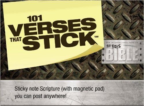 101 Verses That Stick for Boys: NIV Boys Bible baixar