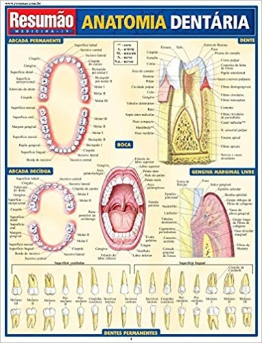 Anatomia Dentária baixar