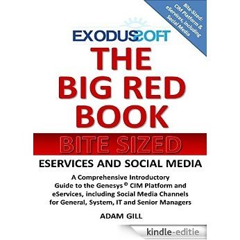 The Big Red Book - Bite Sized - eServices [Kindle-editie]