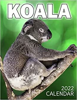 indir Koala Calendar 2022: &quot;Monthly Planner Home Office Decor 8.5&quot;&quot; x 22&quot;&quot; (Open) Photo Poster Of AdorableAustralian Animal&quot;