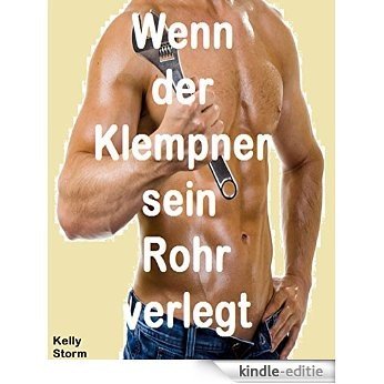 Wenn der Klempner sein Rohr verlegt: Erotik Geschichte (MILF, Ehebruch, Handwerkersex) (German Edition) [Kindle-editie]