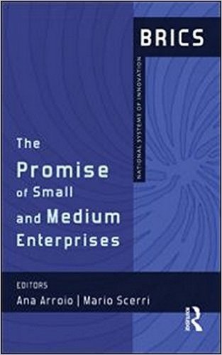 The Promise of Small and Medium Enterprises: Brics National Systems of Innovation