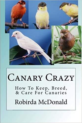 indir Canary Crazy: How To Keep, Breed, &amp; Care For Canaries