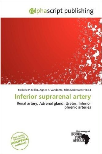 Inferior Suprarenal Artery