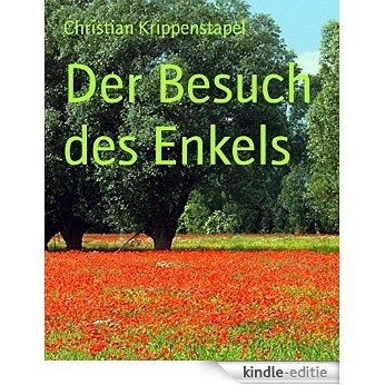 Der Besuch des Enkels (German Edition) [Kindle-editie]