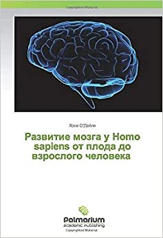 indir Развитие мозга у Homo sapiens от плода до взрослого человека
