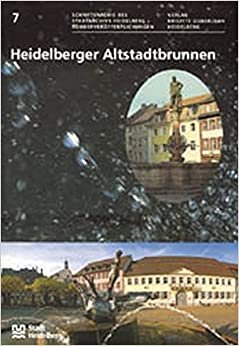 Heidelberger Altstadtbrunnen (Schriftenreihe des Stadtarchivs Heidelberg / Sonderveröffentlichungen)