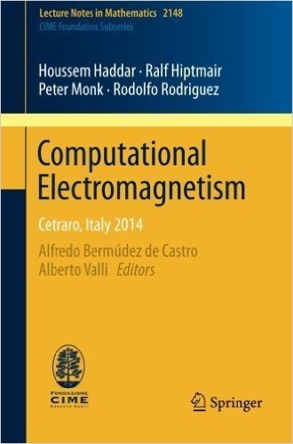 Computational Electromagnetism baixar